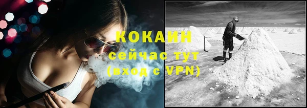 гашик Костерёво
