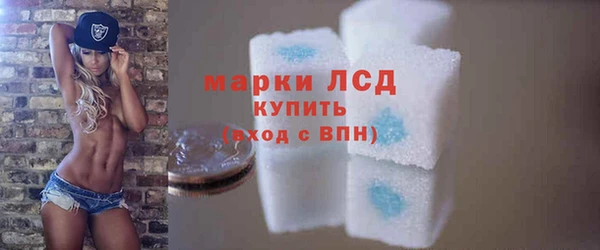 гашик Костерёво