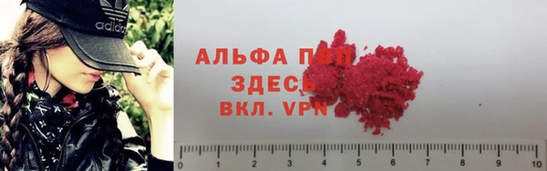экстази Корсаков