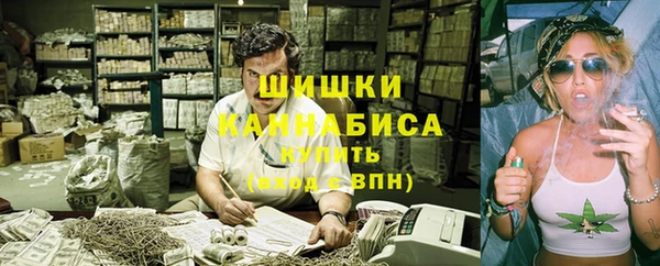 гашик Костерёво