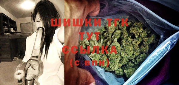 гашик Костерёво