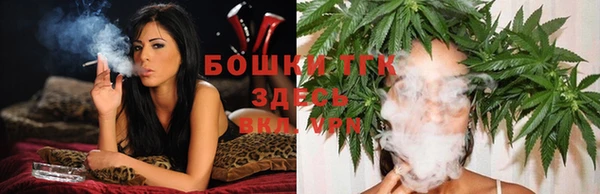 гашик Костерёво