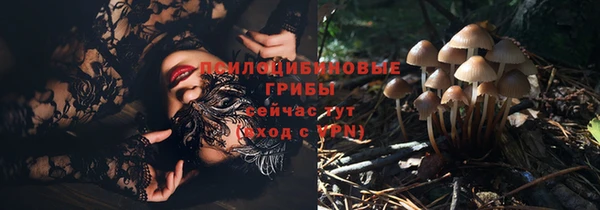 гашик Костерёво